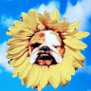 Meet your Posher, Gabrielle